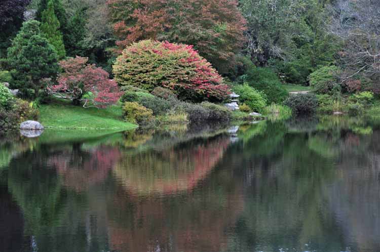 garden scene